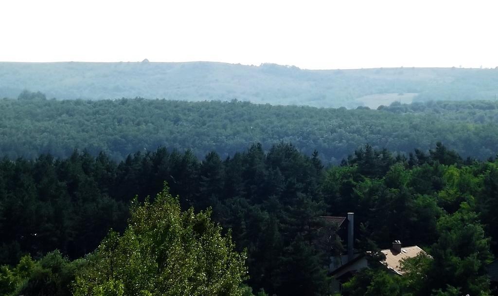 Tündérszikla Panzió Bed & Breakfast Pilisjaszfalu Oda fotoğraf
