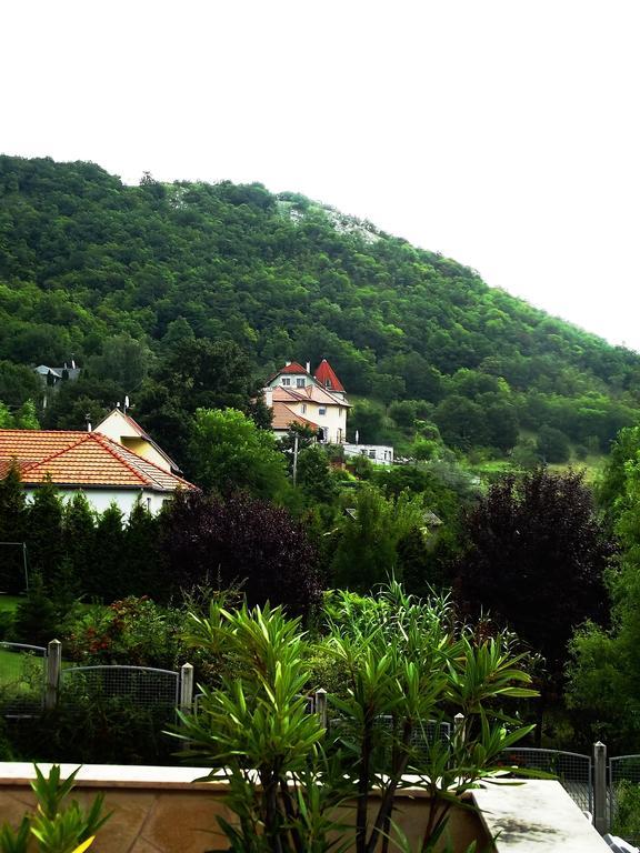 Tündérszikla Panzió Bed & Breakfast Pilisjaszfalu Dış mekan fotoğraf